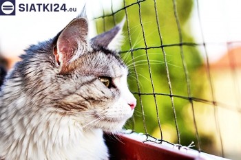 Siatki Jawor - Siatka na balkony dla kota i zabezpieczenie dzieci dla terenów Jawora